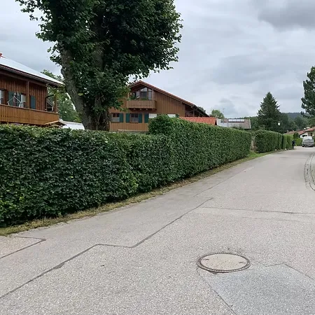 Schneider - Garten- und Hausmeisterservice- Beschneiden von Gartenbäumen